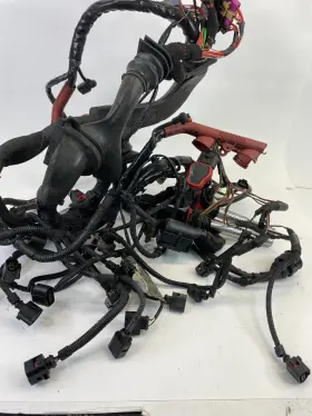 4f1-971-072 Audi 2006 A6 Quattro 3.2l V6 A/t Awd Engine Wire Wiring Harness Oem #3