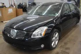 310368y100 Nissan 591-55981 2005 Maxima Trans Ecu