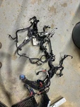 13-14 Dodge Chrysler Caravan 3.6L Engine Wiring Harness Assembly Oe P68164385AD. Fixed Price $225.00.