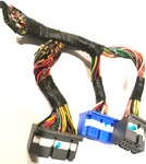 Engine Computer Honda Accord 1996 37820-P0J-L11 2.2L Mt Pcm Plugs Only. Fixed Price $29.90.