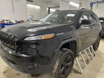 Chassis Ecm Body Control Bcm Xenon Hid Headlamps Fits 15 Cherokee 949370. Fixed Price $132.90.