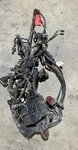 2006 Ford F250 F350 6.0 Front Body Engine Bay Wiring Harness 6C3T-12A581-P260F. Fixed Price $320.00.