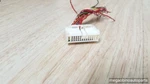 2002-2006 Toyota Camry Connector Relay Running Light 82810-06020 Oem 1B903. Fixed Price $12.99.