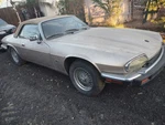 1992 Jaguar Xjs V12 5.3L Ecu DAC9619 Engine Fuel Injection Control Module Pcm. Fixed Price $169.95.