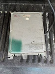 1982-1989 Jaguar Xjs 5.3L V12 Ecu Ecm Engine Injection Computer Oem W/warranty. Fixed Price $301.75.