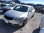 Chassis Ecm Supply Power Distribution Module Fits 11-13 Forte 579099. Fixed Price $99.90.