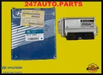 New Original Hyundai Engine Control Module Unit 39110-22562 For Accent 1999-2006. Fixed Price $419.95.