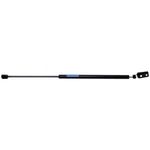 Liftgate Support Strong Arm 4868R Fits 91-93 Honda Accord. Fixed Price $14.98.