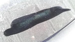 Chassis Ecm Body Control Bcm Door X Model Lounge Fits 16-17 Fiat 500 32383604. Fixed Price $190.65.