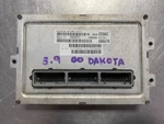 2001 Dodge Dakota V6 At 3.9L Engine Control Module Ecu Pcm Ecm P56040233AC. Fixed Price $132.05.