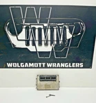 56044419AD Jeep Tj Wrangler Rubicon 4.0 M/t Engine Control Module Non Skim. Fixed Price $421.20.